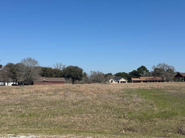 Trinity, TX 75862,TBD14 High Meadow
