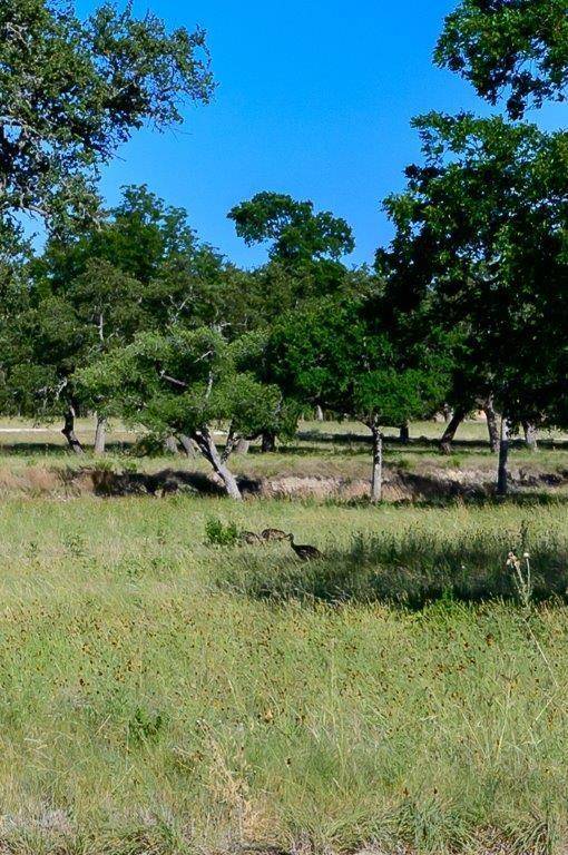 Center Point, TX 78010,LOT 22 CREEKSIDE AT CAMP VERDE