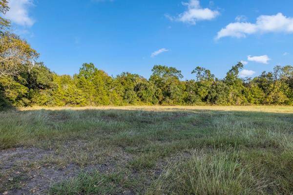 Round Top, TX 78954,TBD Wendy Lane - Lot 18