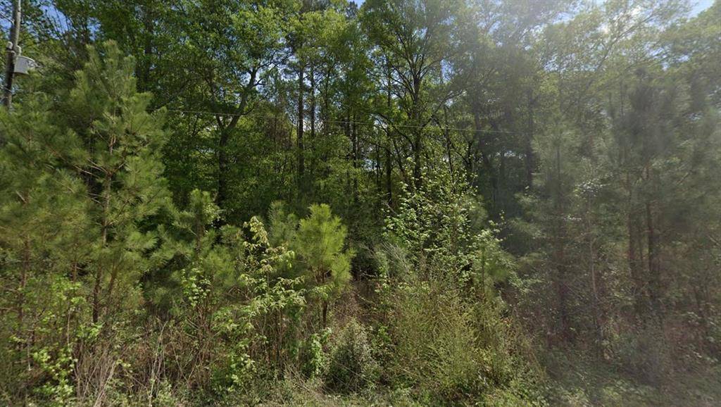 New Caney, TX 77357,Lot 131, 0 Shire RD