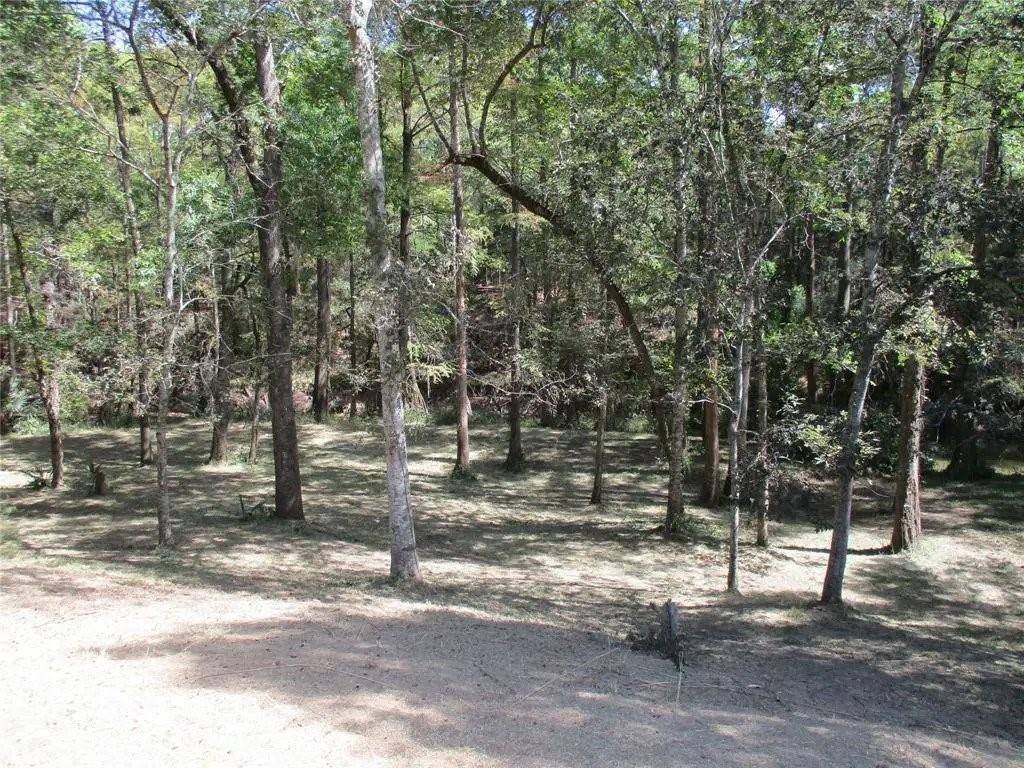 Wallisville, TX 77597,Lot 8 Apache RUN