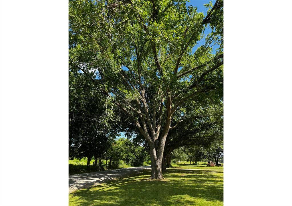 Lexington, TX 78947,Lot 4 - 320 Douglass ST