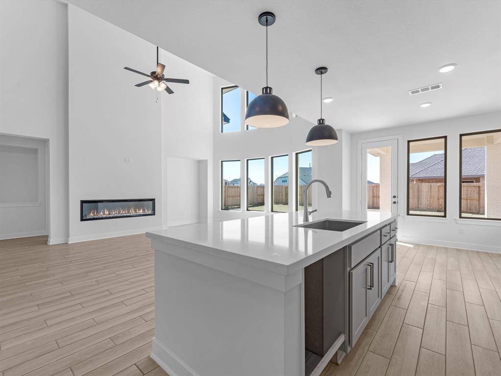 Katy, TX 77493,25259 Aster Hills LN