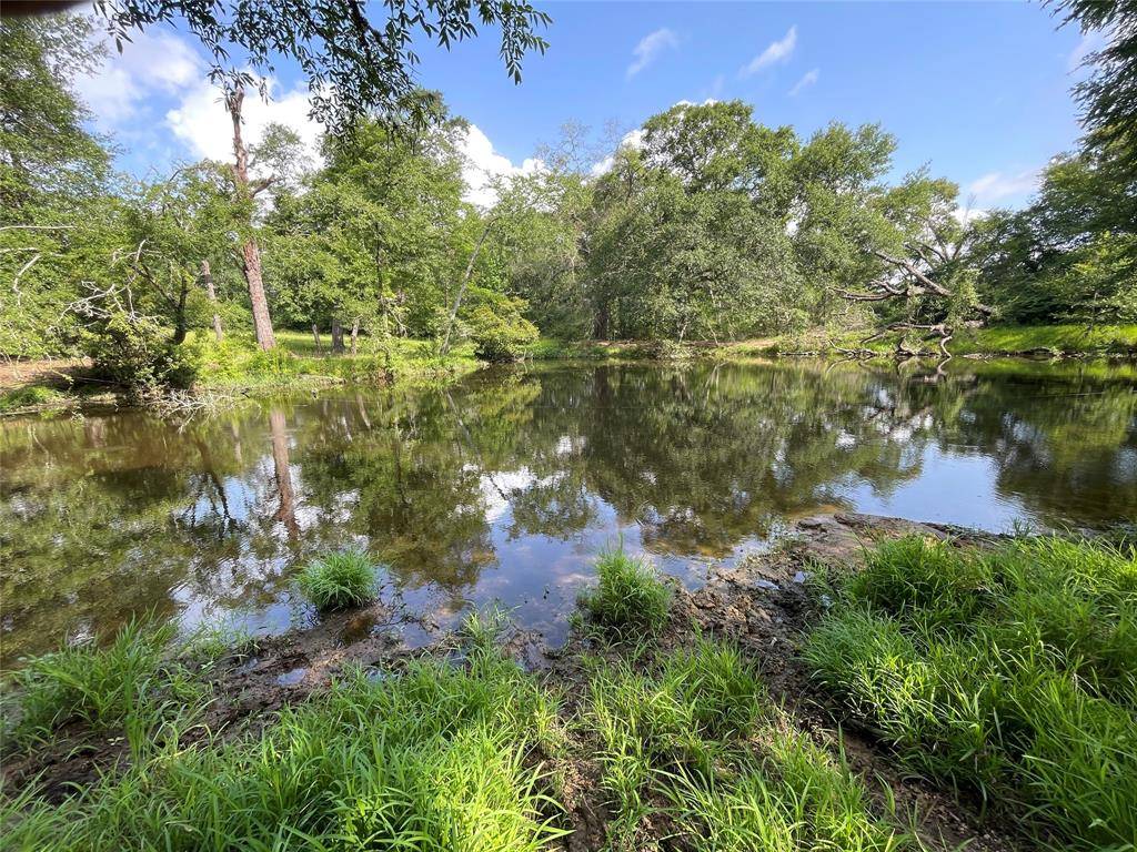 Centerville, TX 75833,TBD County Road 114