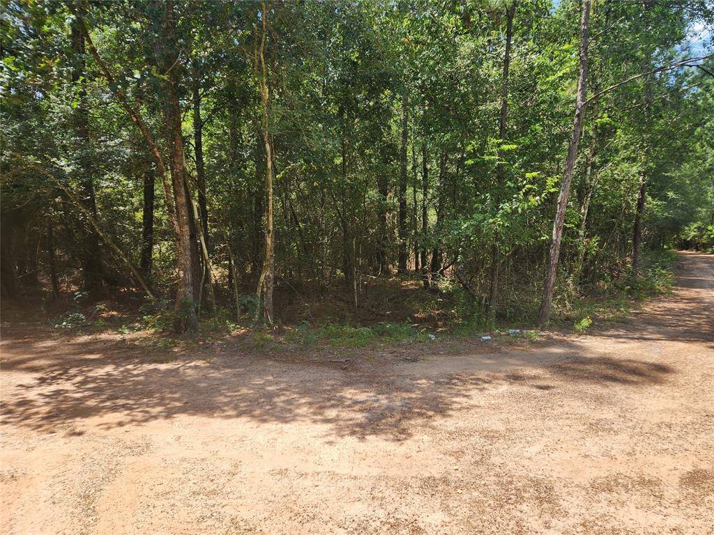 Plantersville, TX 77363,Lot 1 Sycamore LN