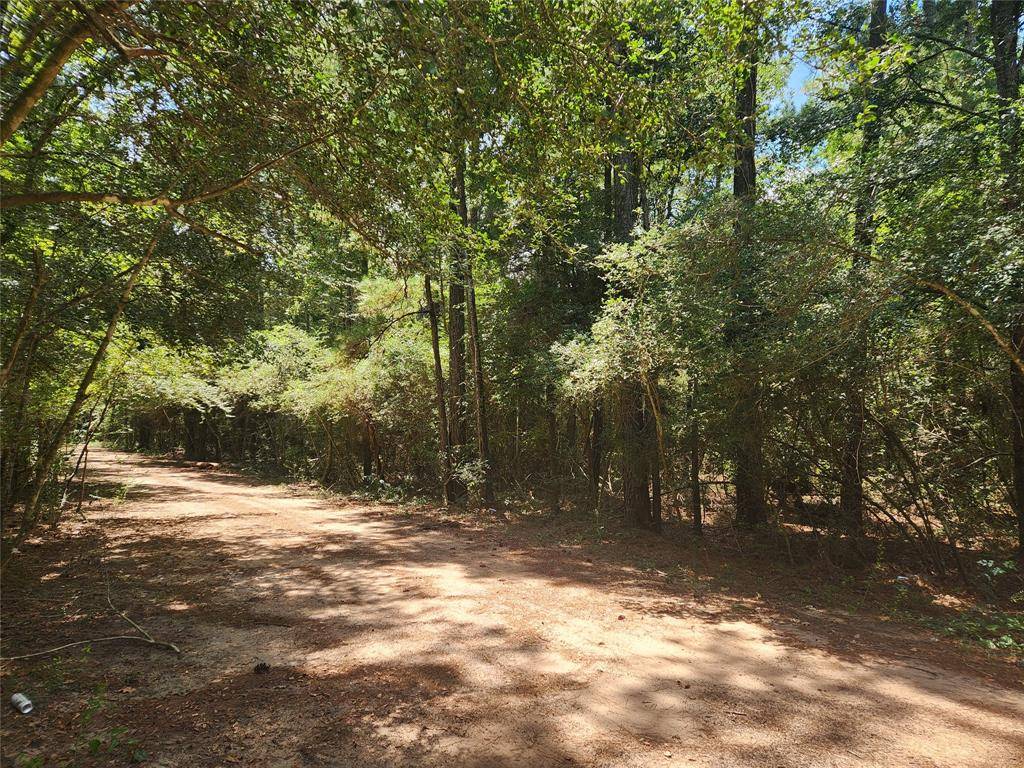 Plantersville, TX 77363,Lot 1 Sycamore LN