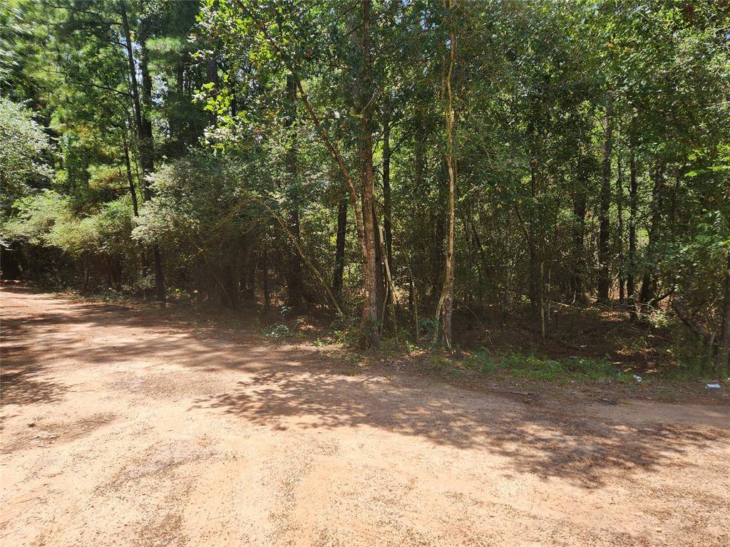 Plantersville, TX 77363,Lot 1 Sycamore LN