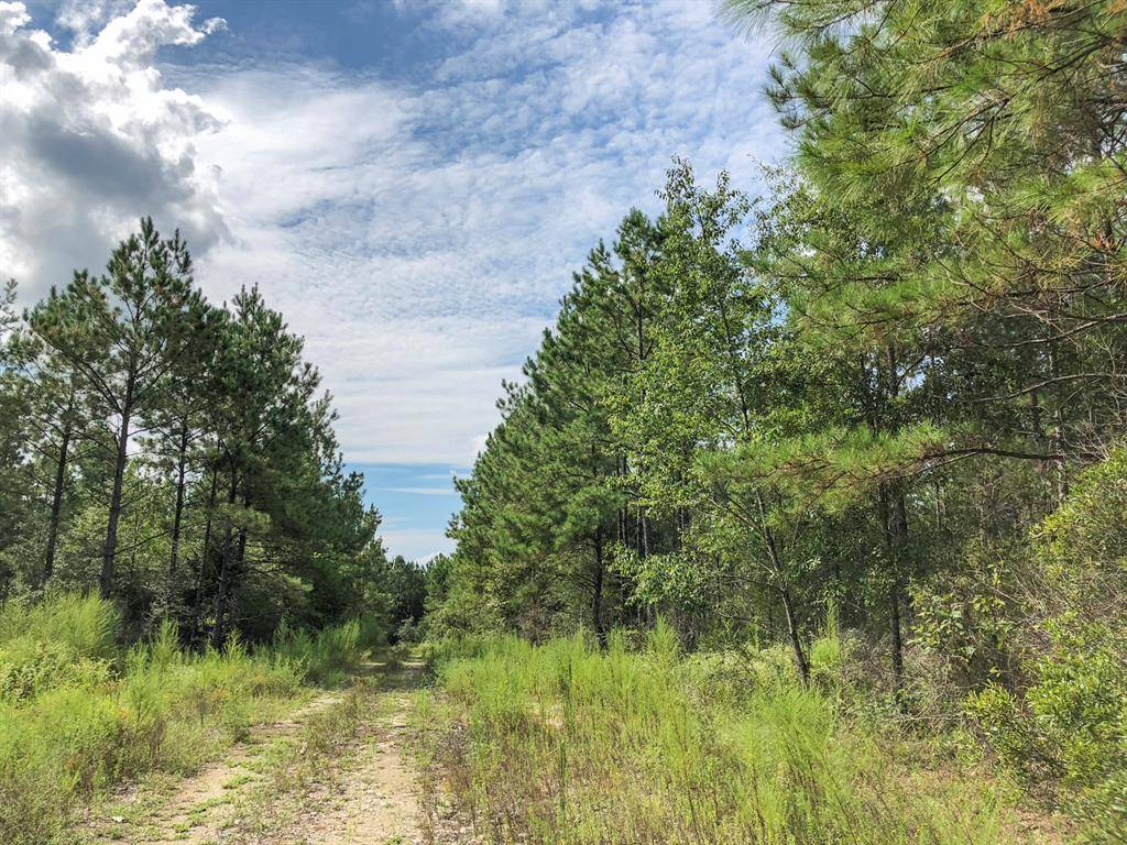 Woodville, TX 75979,0 CR 4280