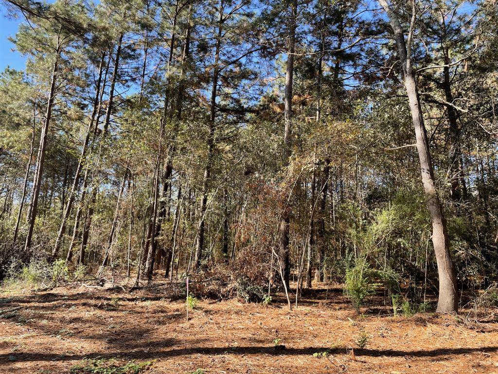 New Caney, TX 77357,20800 Oakshade DR