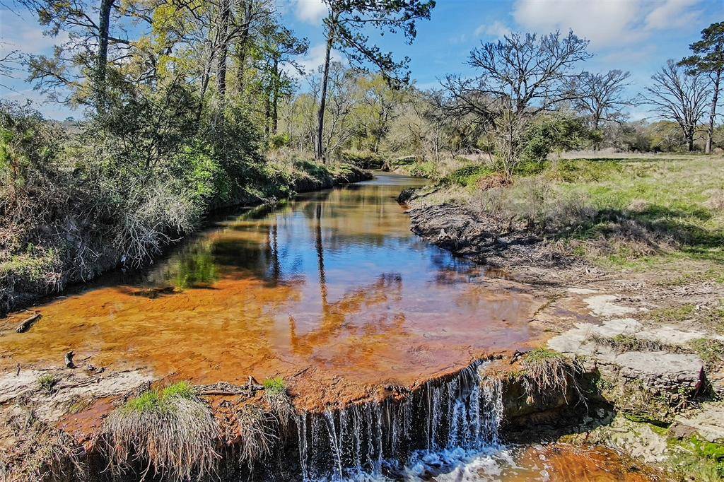 Bedias, TX 77831,162+/- Ac. FM 2620