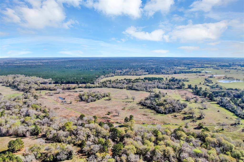 Bedias, TX 77831,162+/- Ac. FM 2620