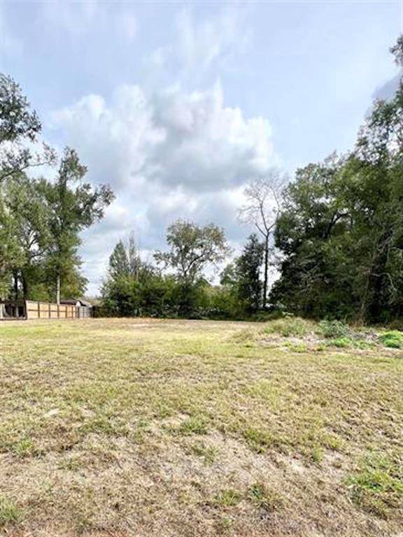 Vidor, TX 77662,0 Lot 9 Teal Dr