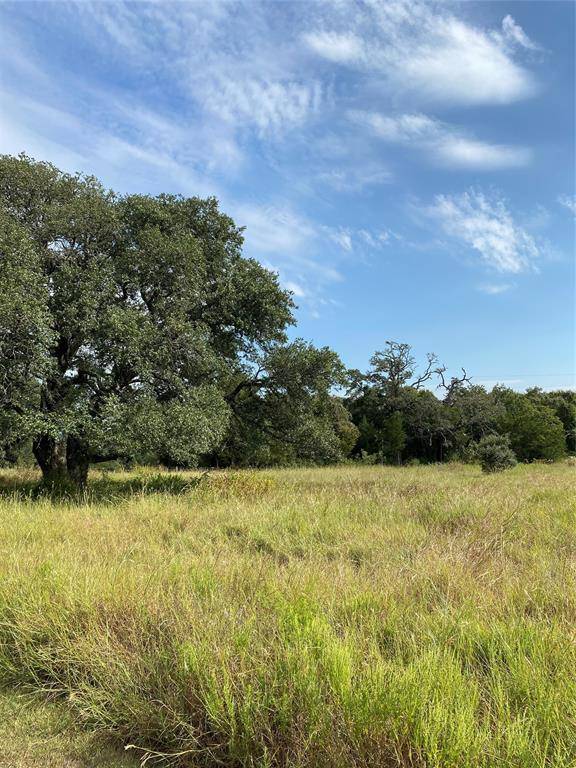 Brenham, TX 77833,TBD Lehmann LN