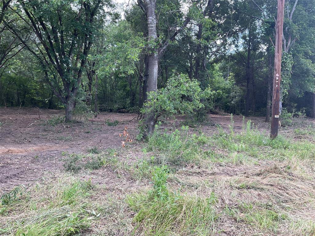Fairfield, TX 75840,000 N Hwy 75 South ST