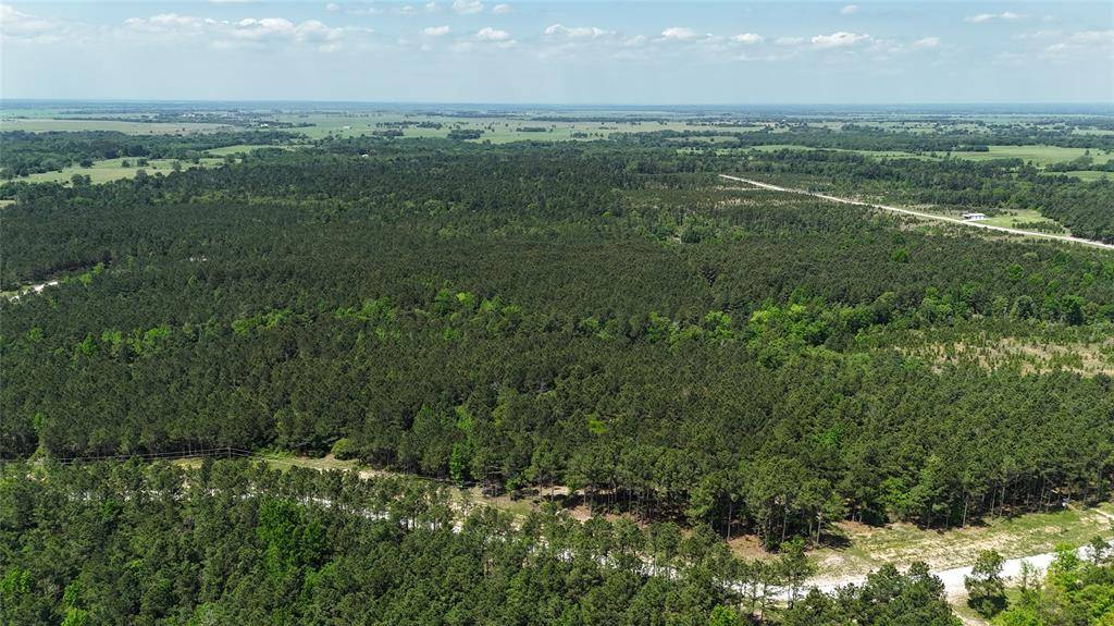 Lovelady, TX 75851,TBD Lampasas Lane