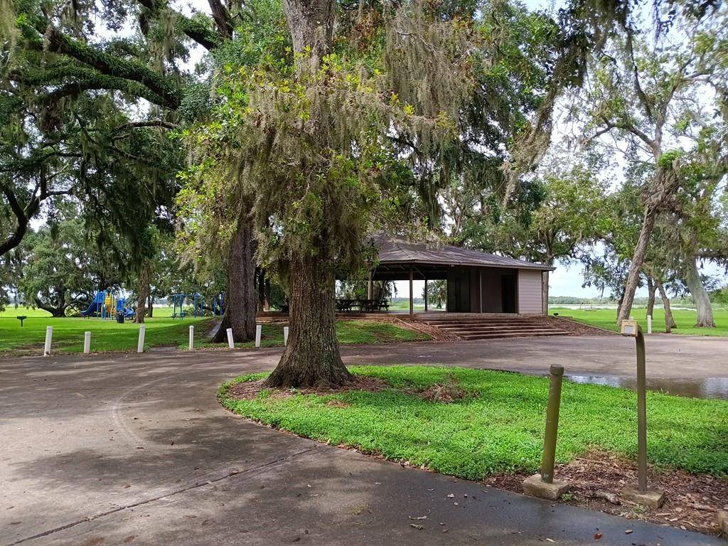 Angleton, TX 77515,00 Brahman TRL