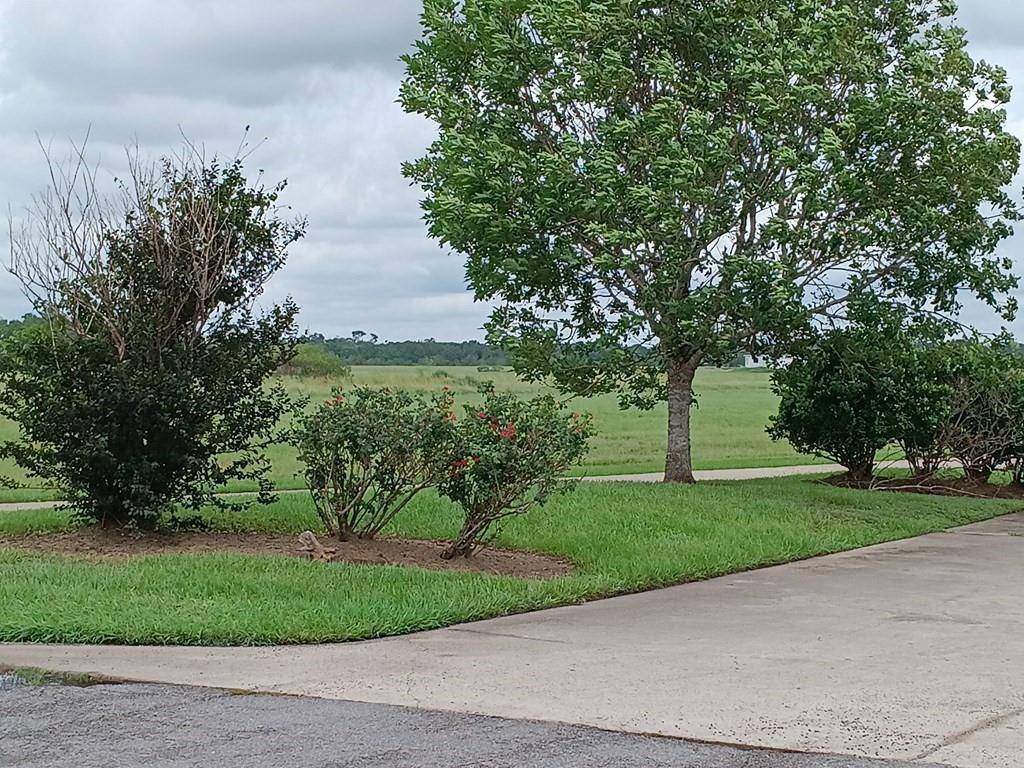 Angleton, TX 77515,00 Brahman TRL