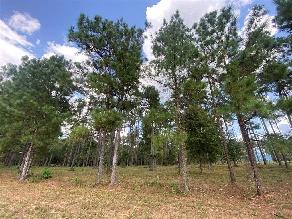 New Waverly, TX 77358,Lot 1 Winters Ranch RD