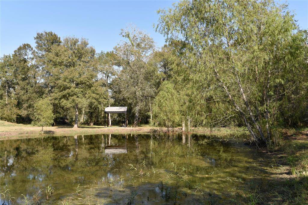 Needville, TX 77461,15415 Tierra Grande DR