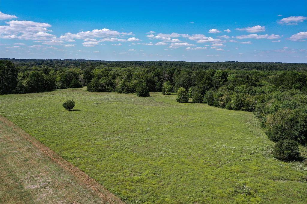 Huntsville, TX 77340,134 Acres FM 1374