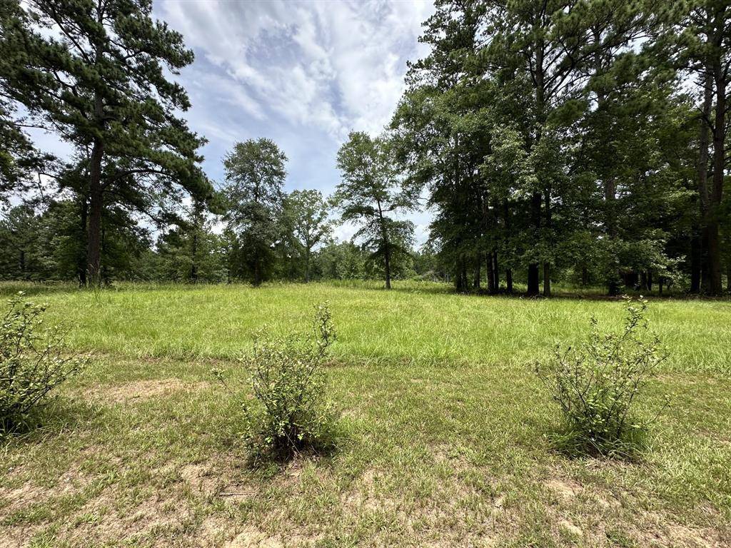 Hemphill, TX 75948,429 Dixie DR