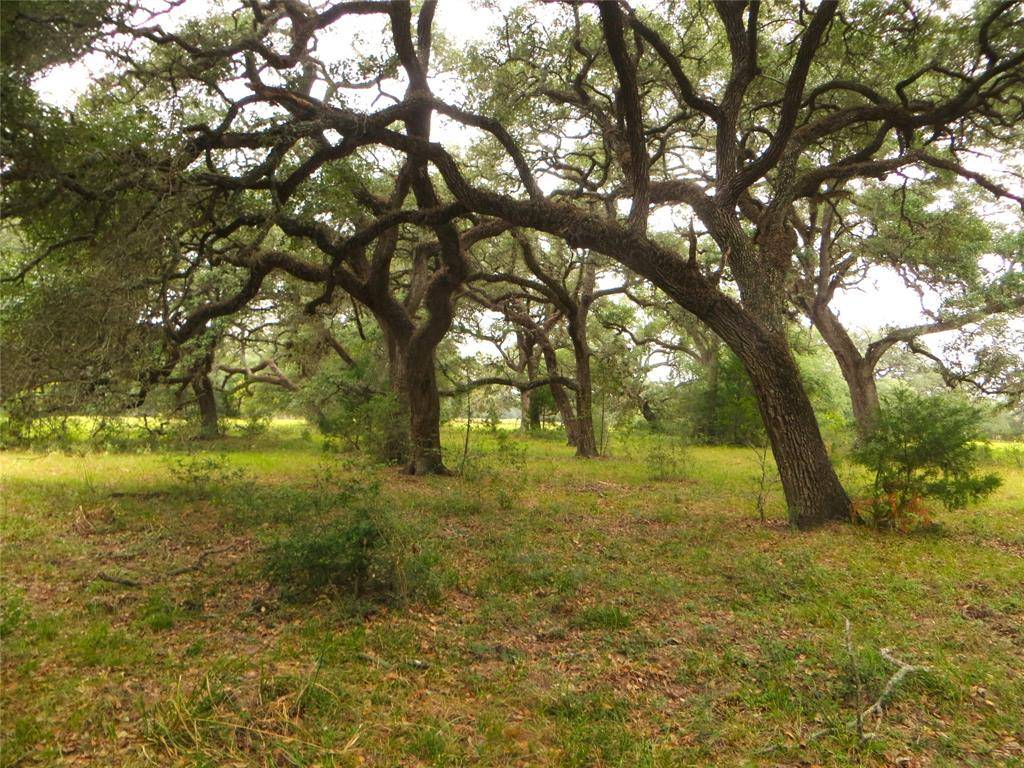 Weimar, TX 78962,TBD Hattermann