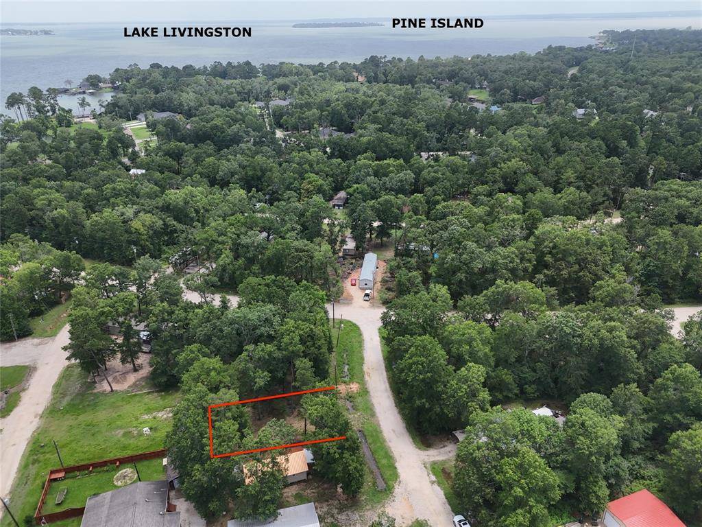 Livingston, TX 77351,126 Knottypine