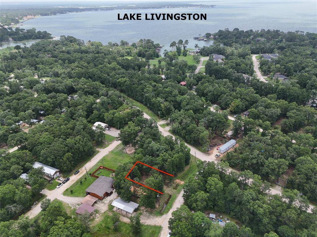 Livingston, TX 77351,126 Knottypine
