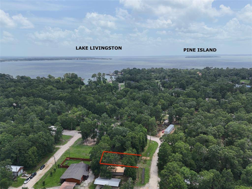 Livingston, TX 77351,126 Knottypine