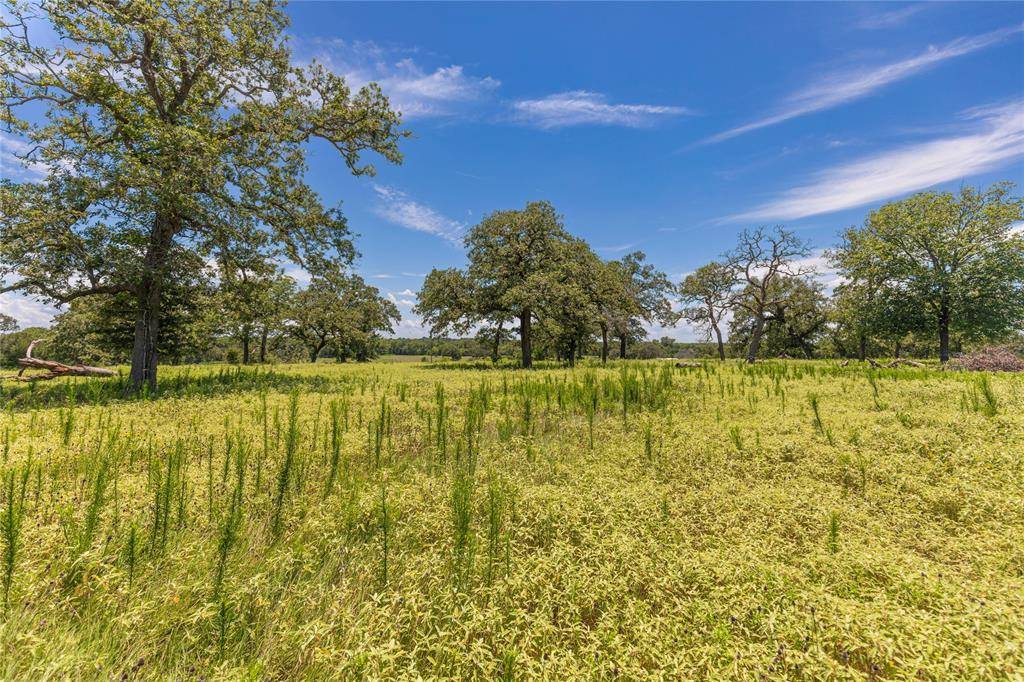 New Ulm, TX 78950,LOT 8 Mill Creek Ranch Road