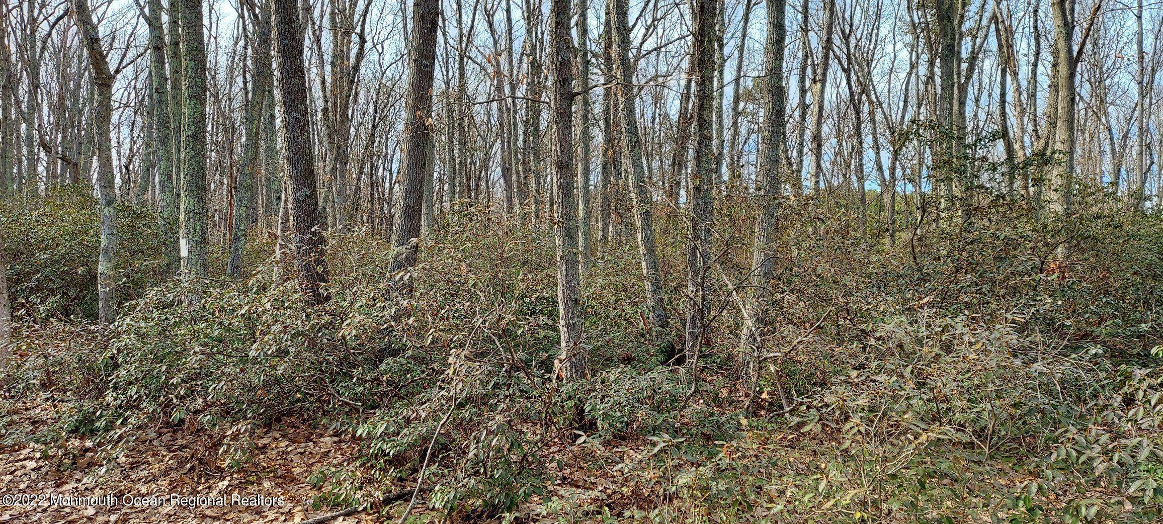 Plumsted, NJ 08533,88 Hopkins Road