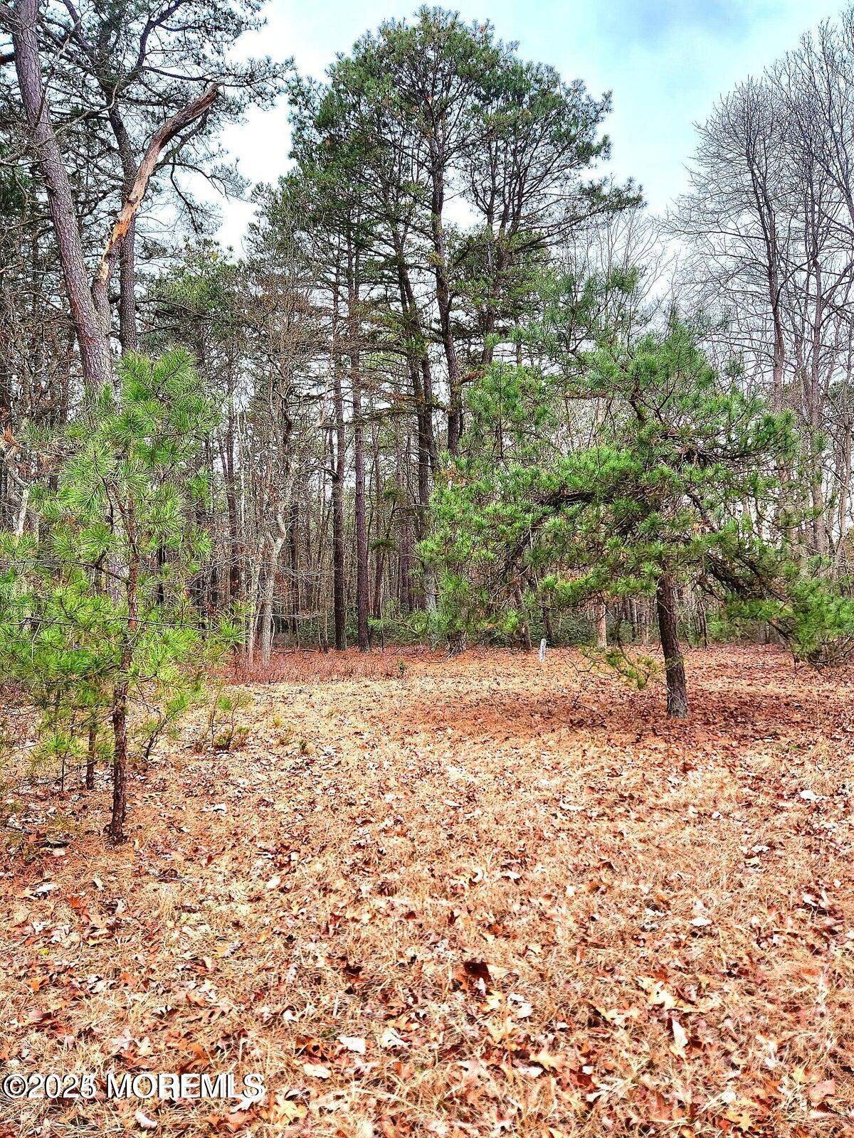 Jackson, NJ 08527,64 Park Avenue