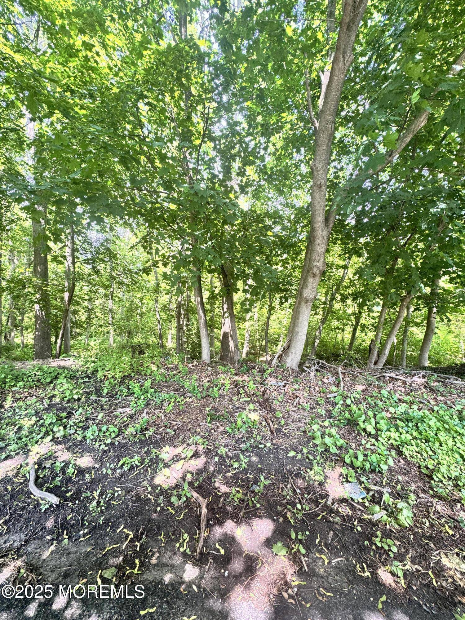 Neptune Township, NJ 07753,652 Wardell Road