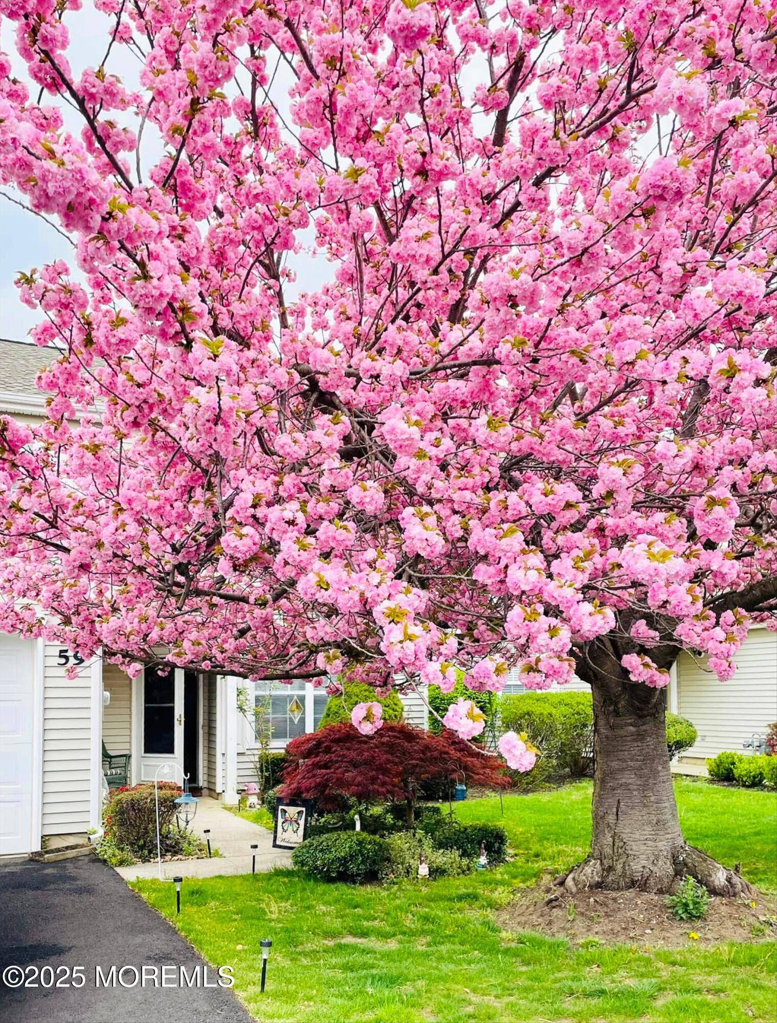 Freehold, NJ 07728,59 Perri