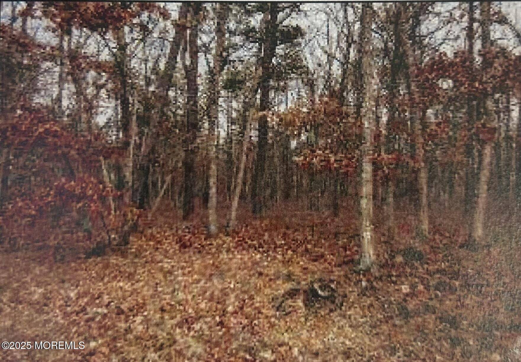 Forked River, NJ 08731,0 Elsiah Street