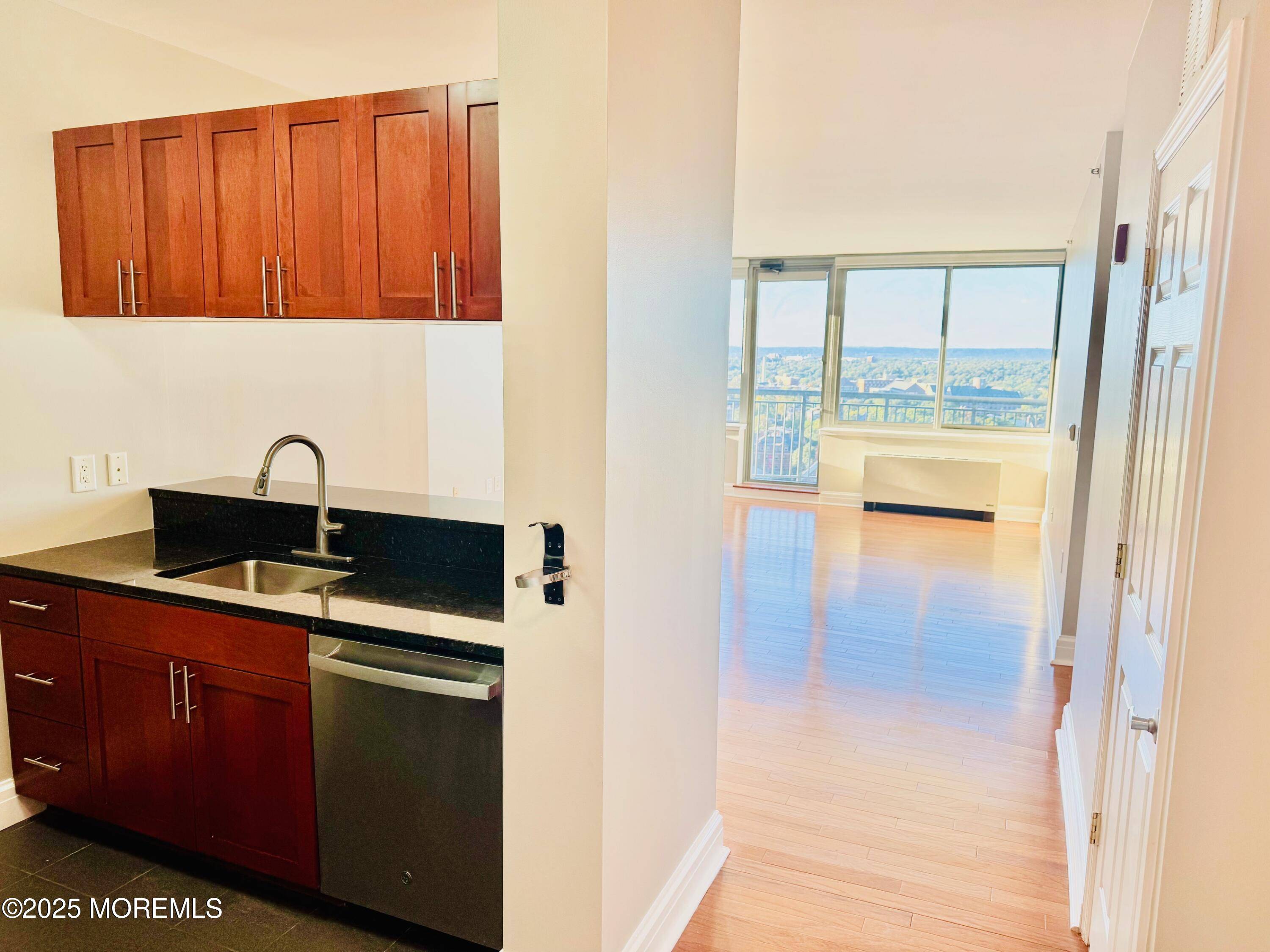 New Brunswick, NJ 08901,1 Spring Street #1806