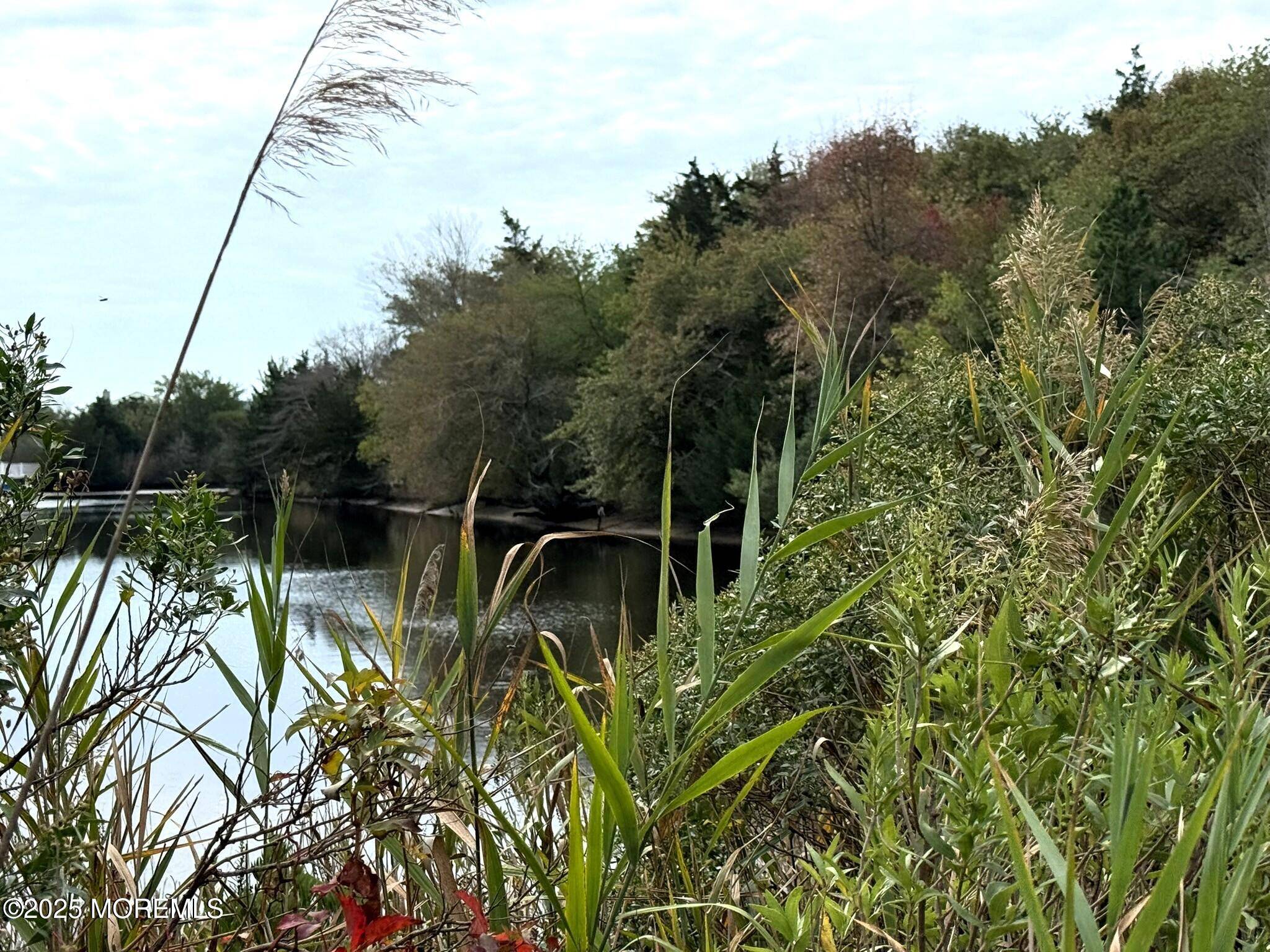 Little Egg Harbor, NJ 08087,11 Persimmon Drive