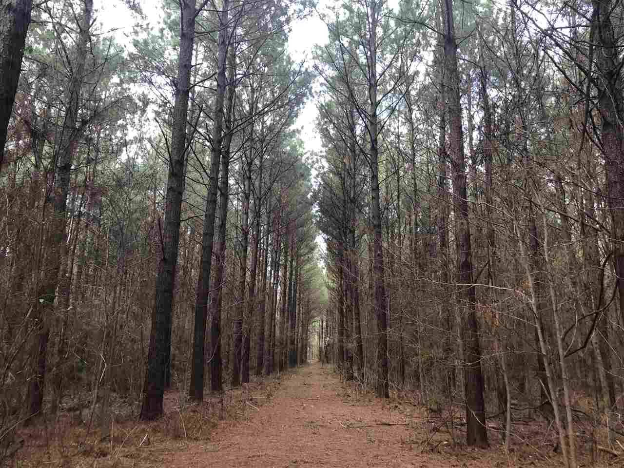 Brandon, MS 39042,0 Andrew Chapel Road