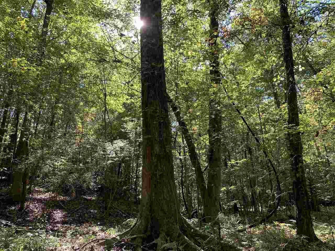 Brandon, MS 39042,0 Evergreen Drive #Metes and Bounds