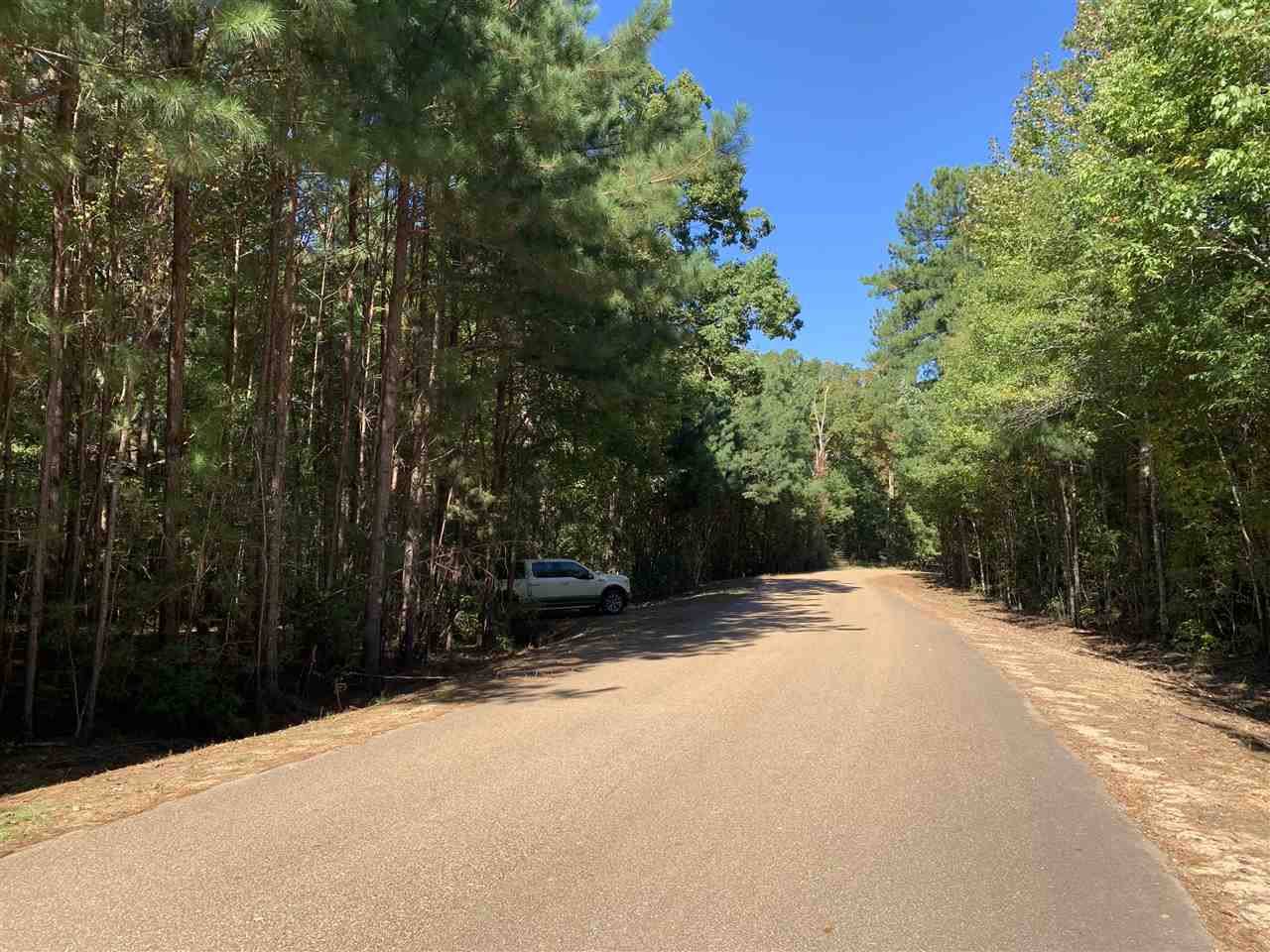 Brandon, MS 39042,0 Evergreen Drive #Metes and Bounds