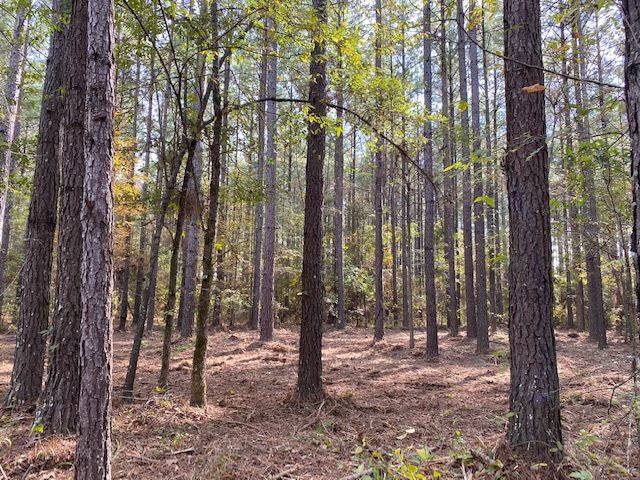 Pelahatchie, MS 39145,0 Barker Road #0