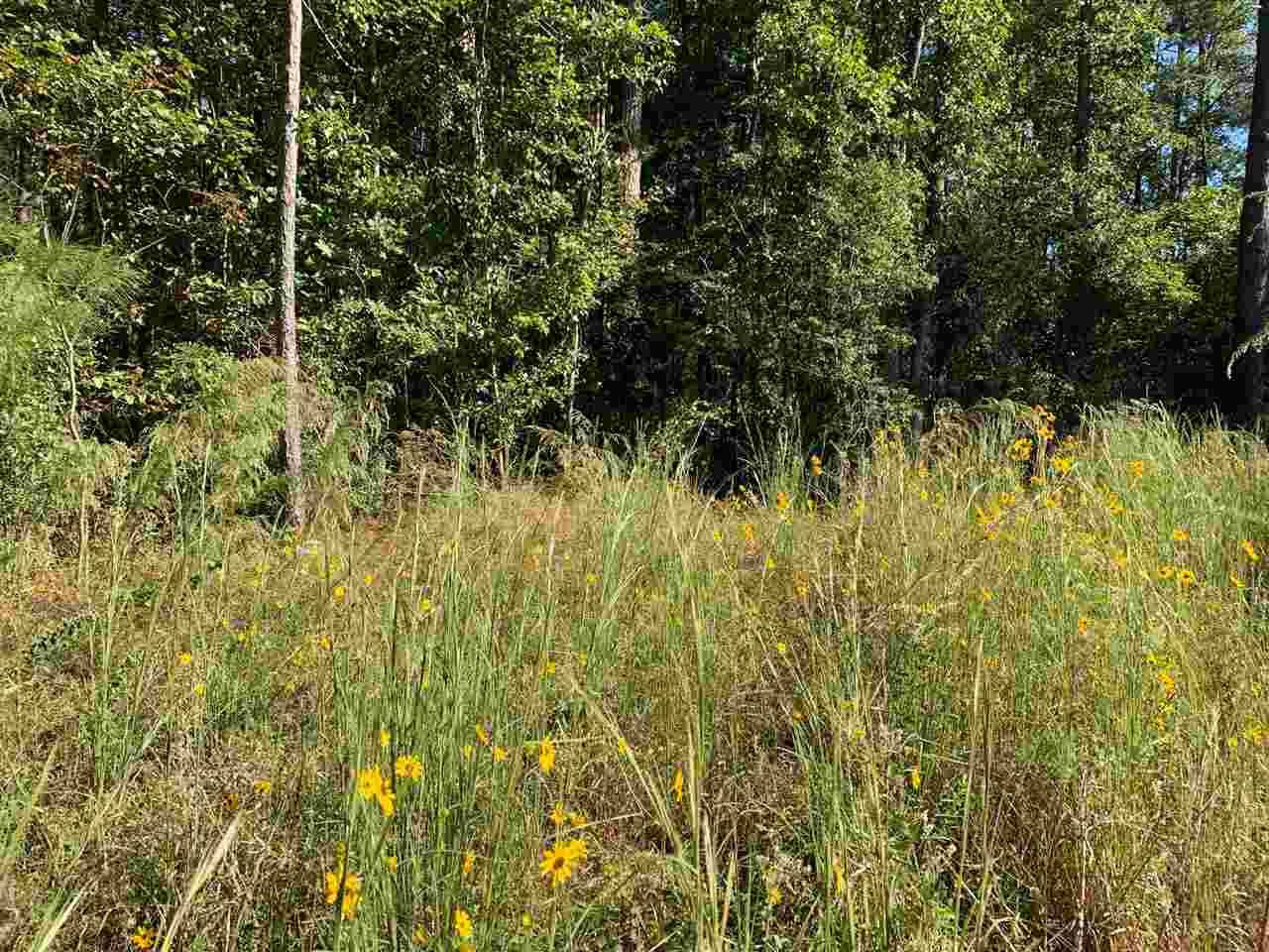 Brandon, MS 39042,401 Kersh Road #3