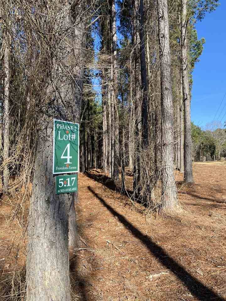 Brandon, MS 39047,659 Stull Road #4