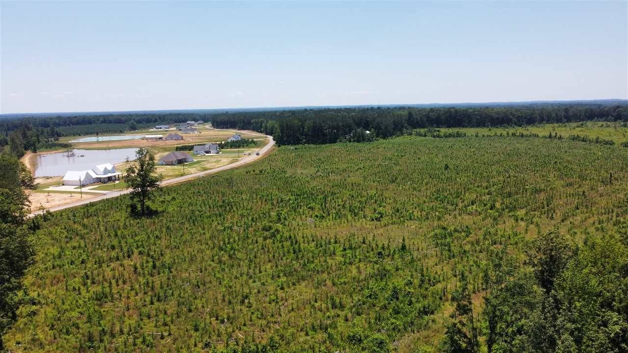 Brandon, MS 39047,451 Stump Ridge Road #8
