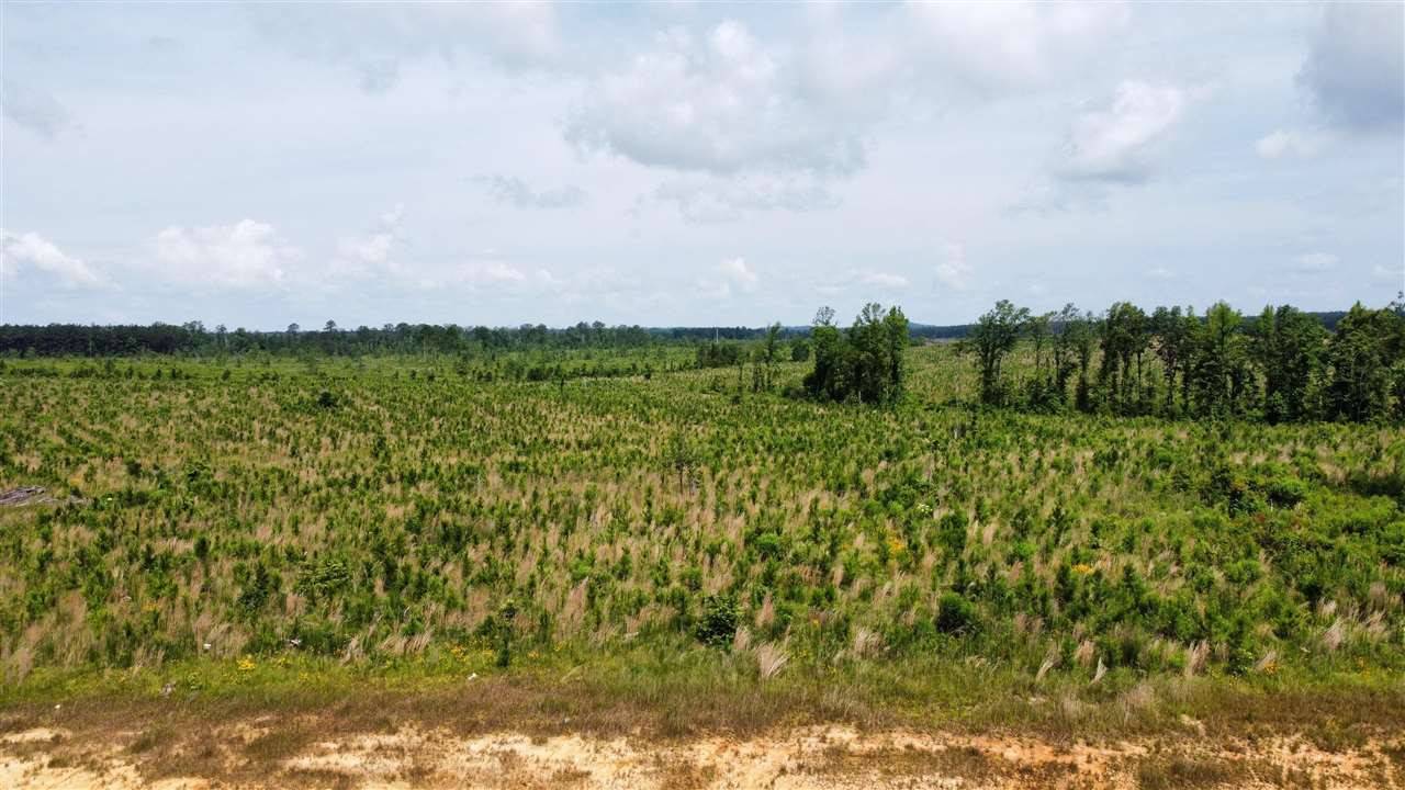 Brandon, MS 39047,489 Stump Ridge Road #11