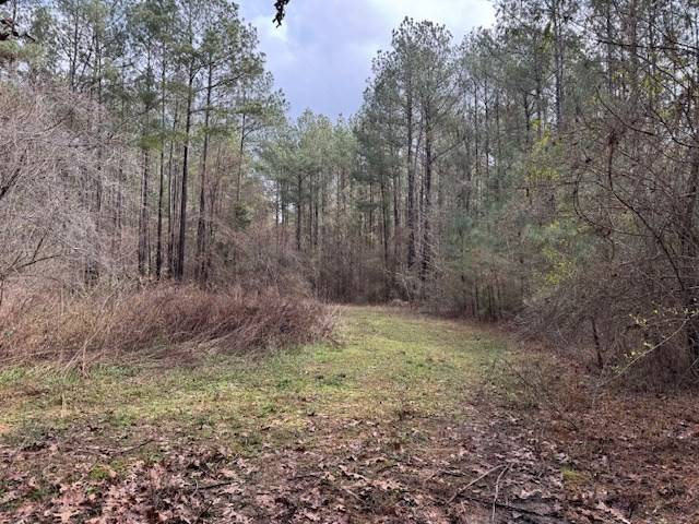 Bogue Chitto, MS 39629,920 Auburn Drive