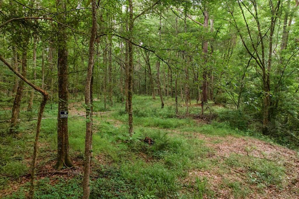 Natchez, MS 39120,7 Turkey Creek Road