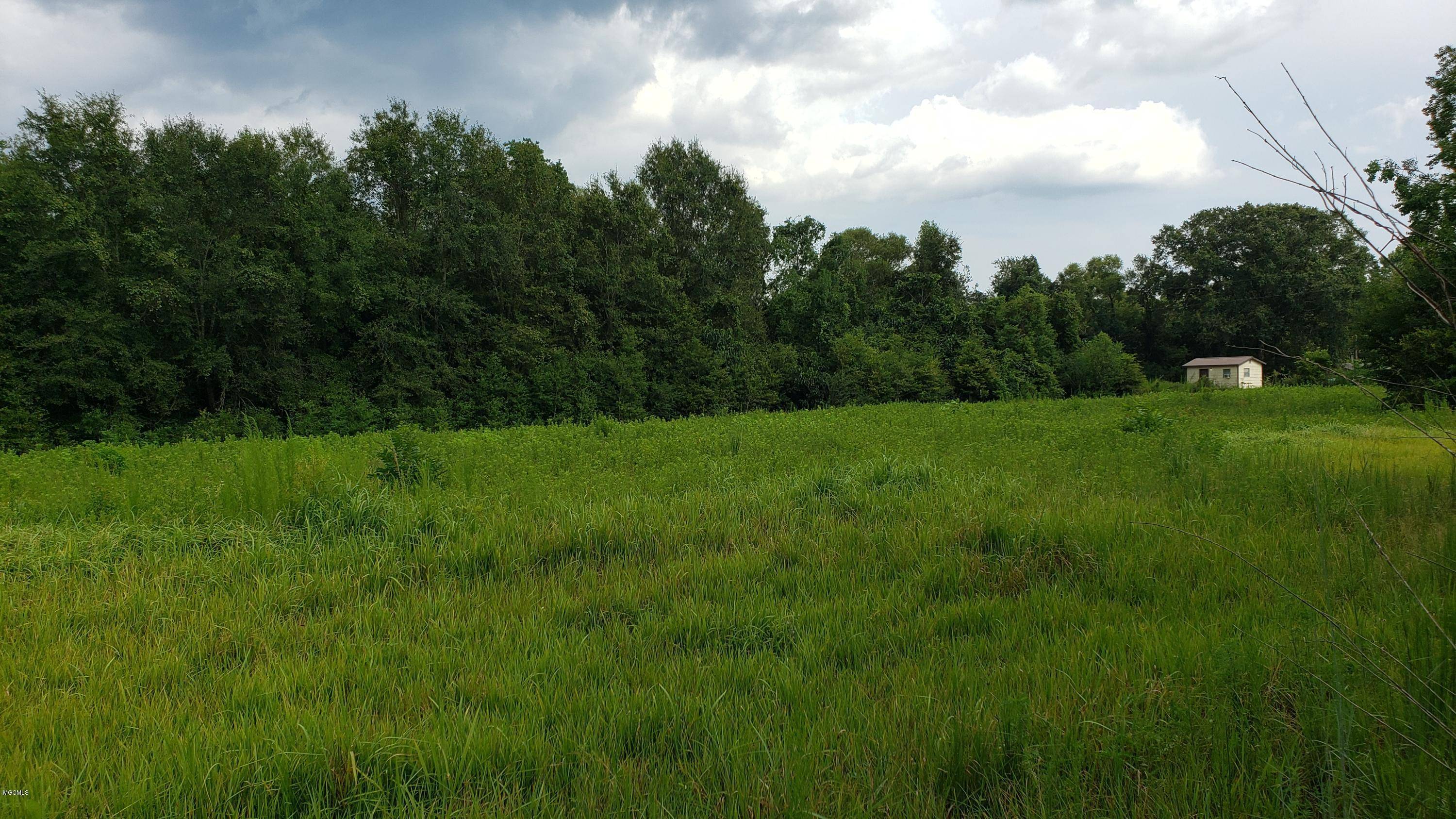 Poplarville, MS 39470,142 Sam Smith Road #B