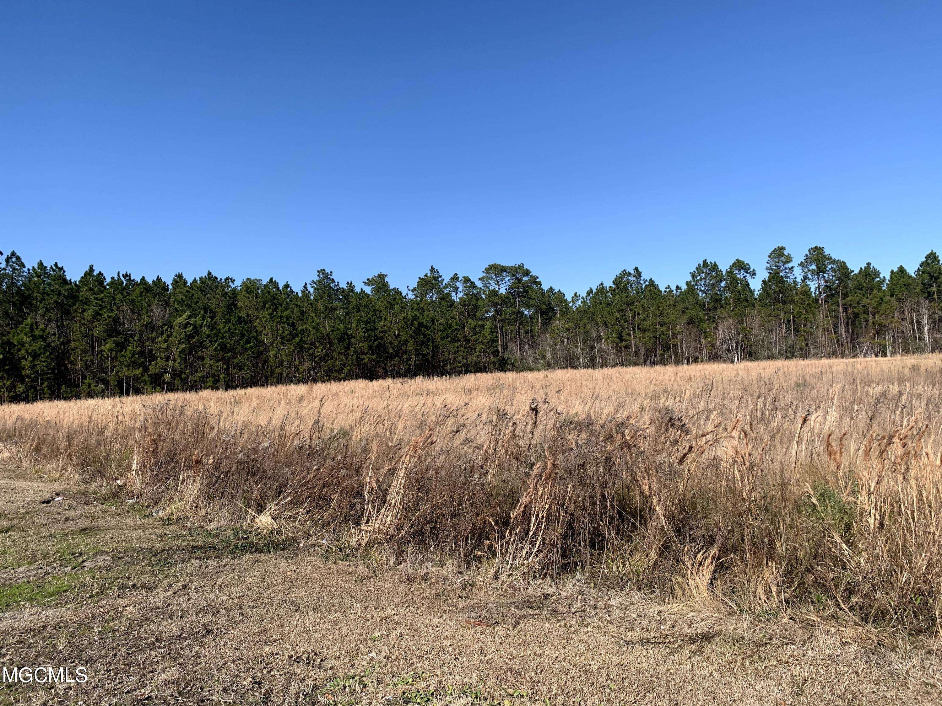 Bay Saint Louis, MS 39520,10 Highway 603