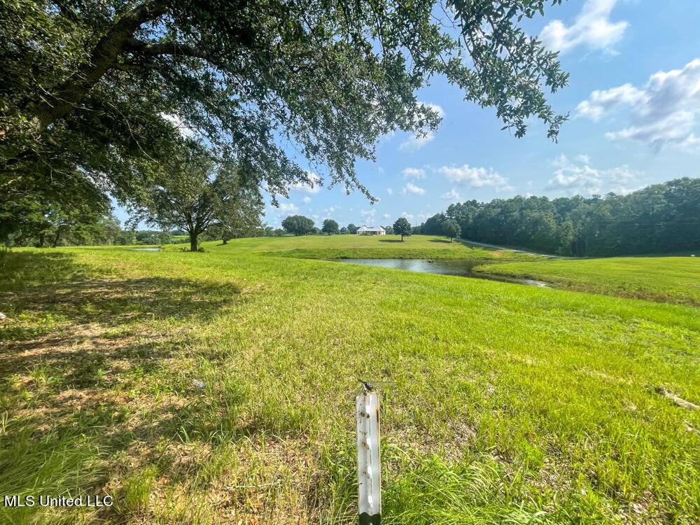 Lucedale, MS 39452,16 Gracie'S Way